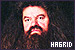  Characters: Hagrid